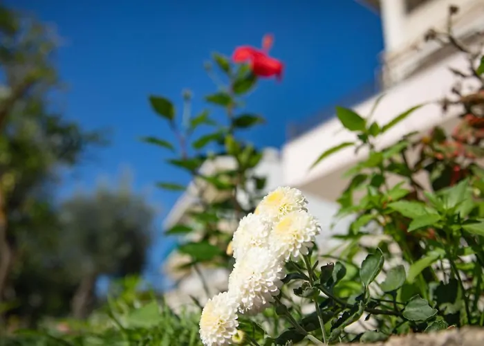 Apartament Frangis Dekatria Agios Spyridon (Corfu)