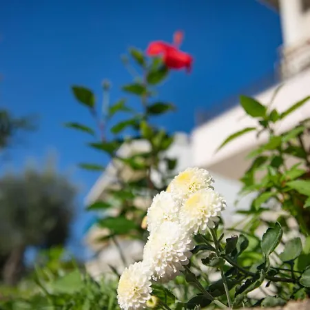 아파트 Frangis Dekatria Agios Spyridon (Corfu)
